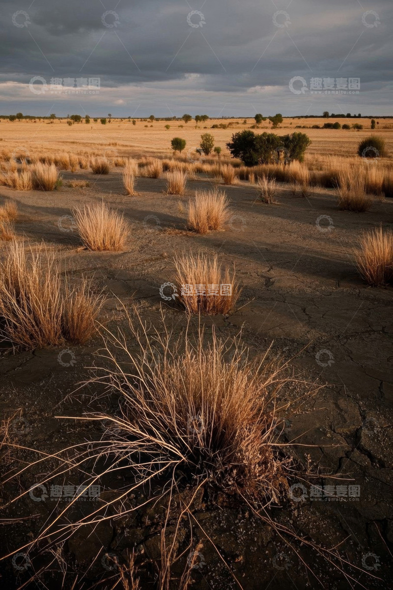 高清大图下载【趣麦麦图】干旱草原自然风光