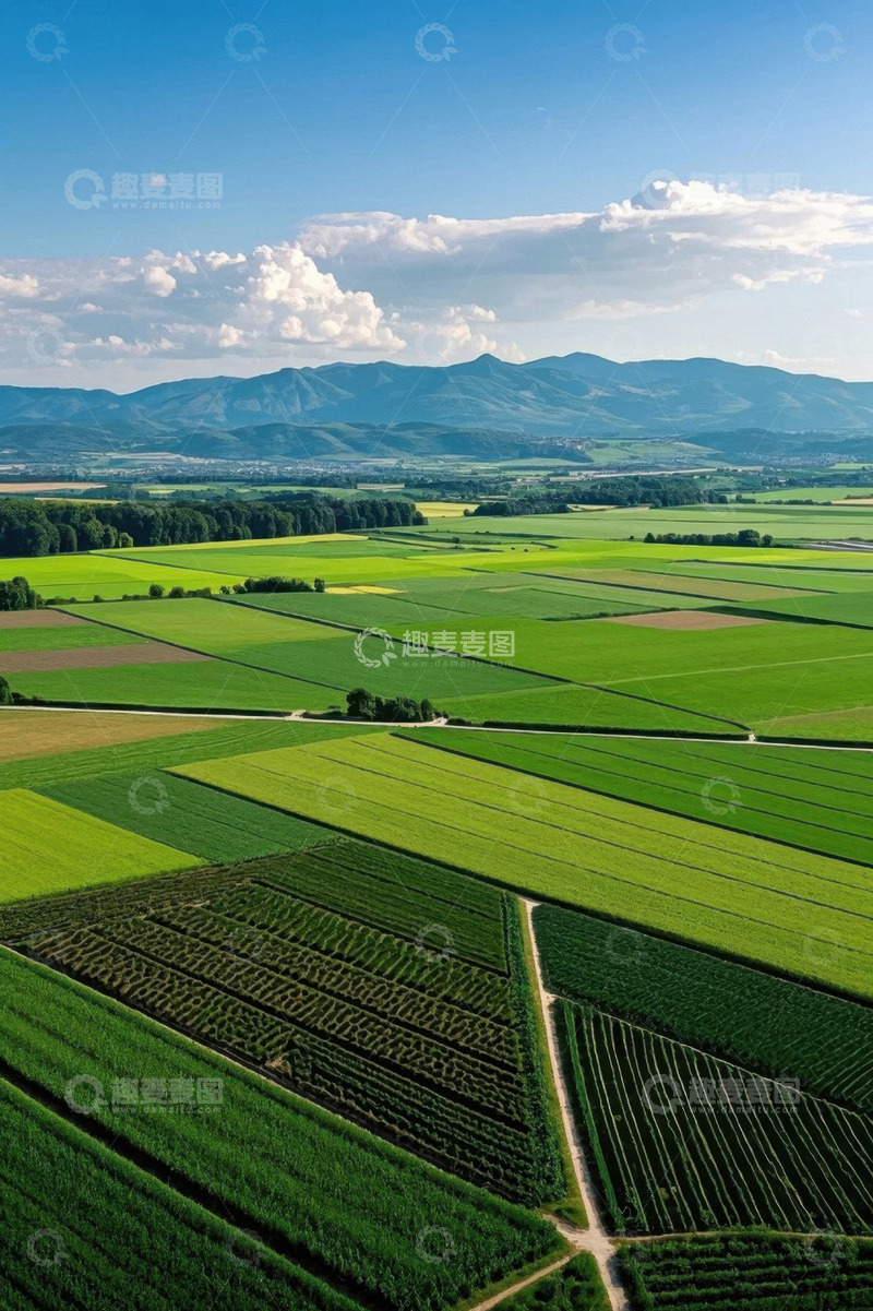 高清大图下载【趣麦麦图】航拍绿色农田与远山景观