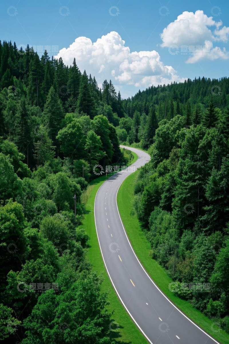 高清大图下载【趣麦麦图】森林中蜿蜒的道路风景