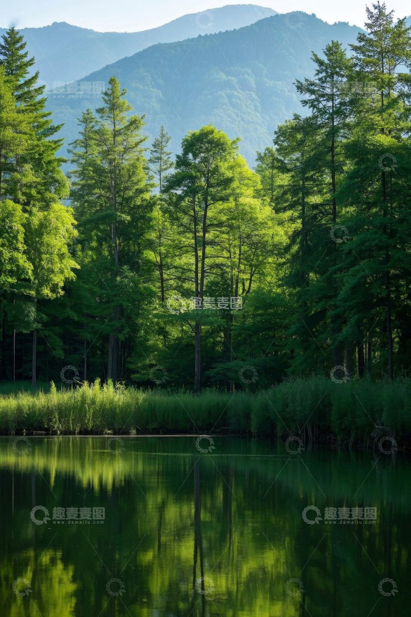 高清大图下载【趣麦麦图】森林湖泊与远山自然景观