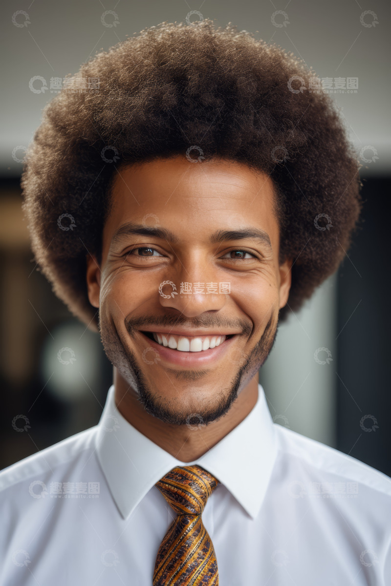 高清大图下载【趣麦麦图】微笑的商务男士肖像