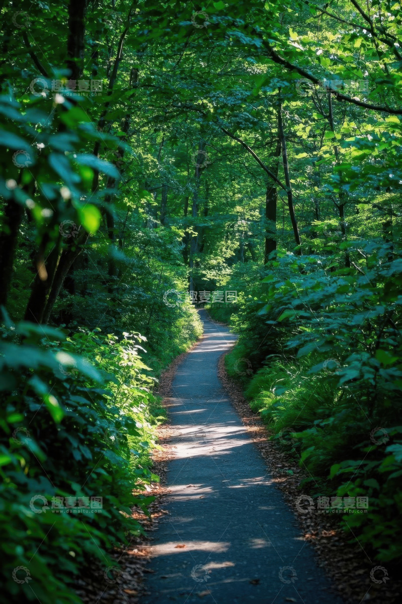 高清大图下载【趣麦麦图】森林中的幽静小径