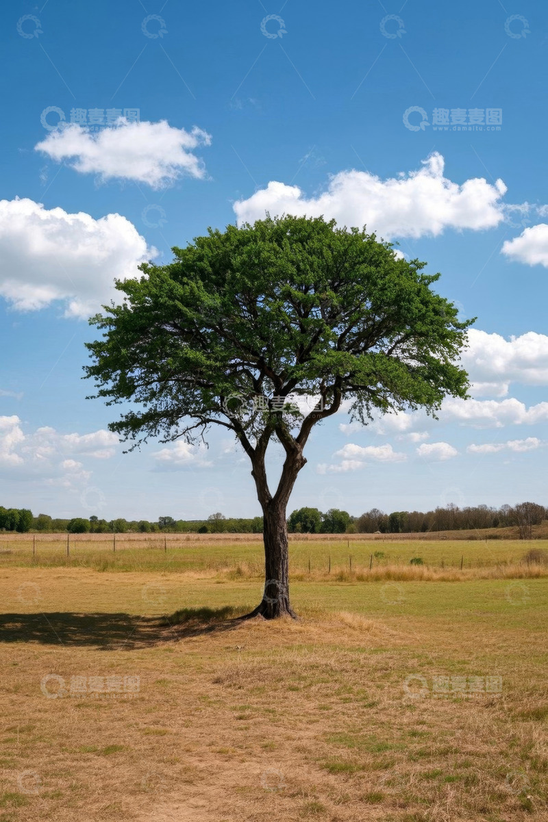 高清大图下载【趣麦麦图】草原上单棵绿树与蓝天白云