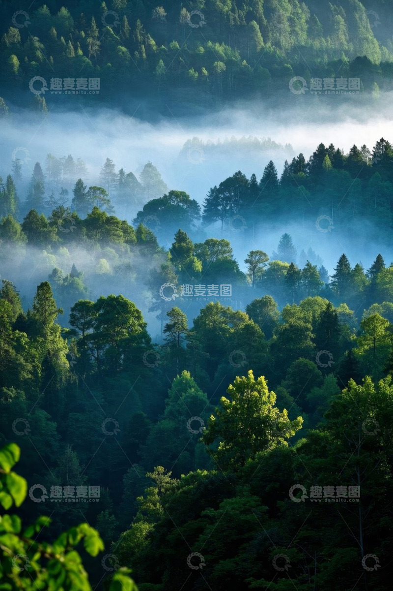 高清大图下载【趣麦麦图】山林间弥漫薄雾的自然景观