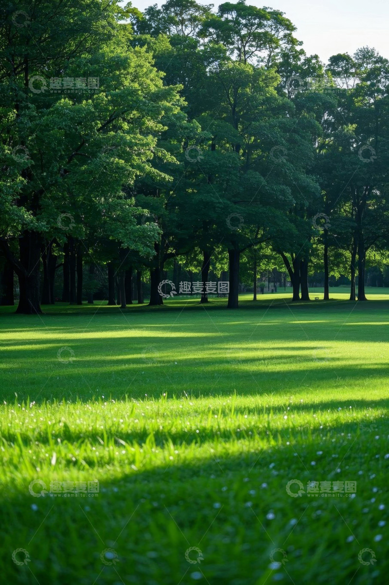 高清大图下载【趣麦麦图】阳光下的森林草地景观
