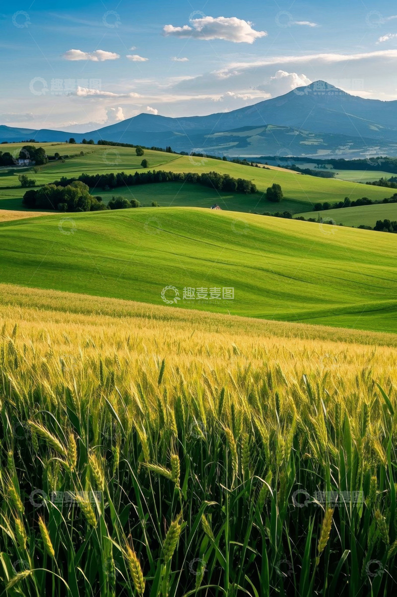 高清大图下载【趣麦麦图】田野麦浪与远山自然风光