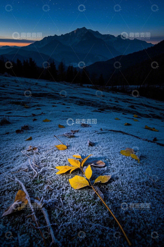 山间霜叶夜景