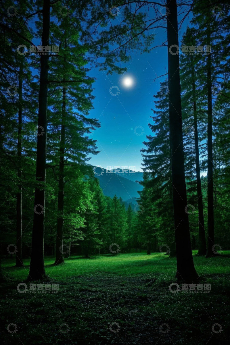 高清大图下载【趣麦麦图】月夜下的森林自然风光
