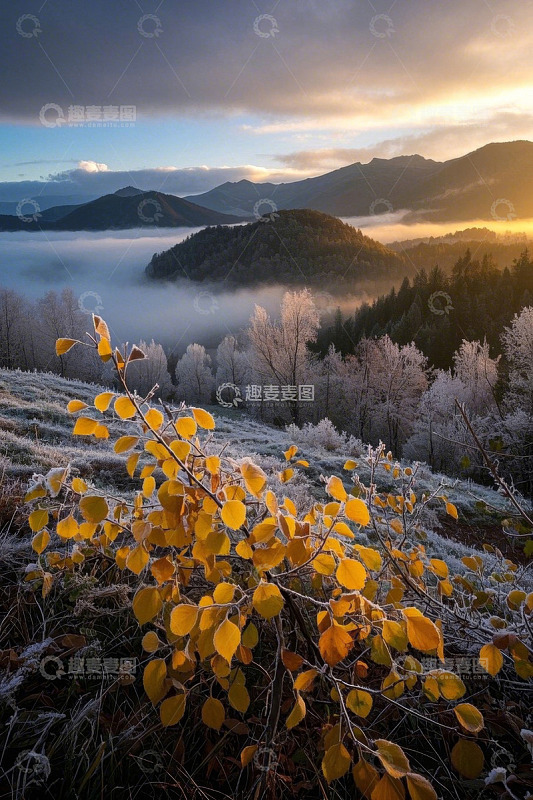 山间晨雾中的霜叶景色