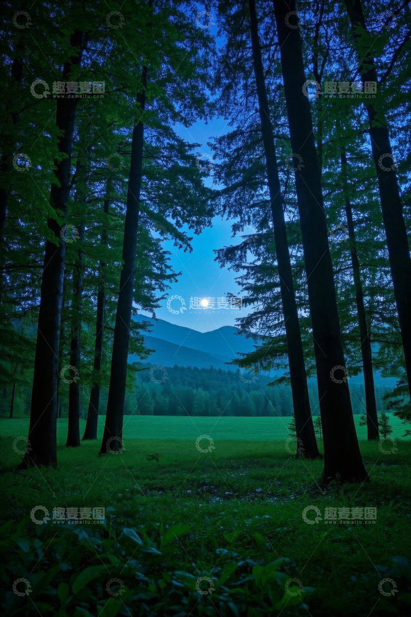 高清大图下载【趣麦麦图】森林月夜自然风光