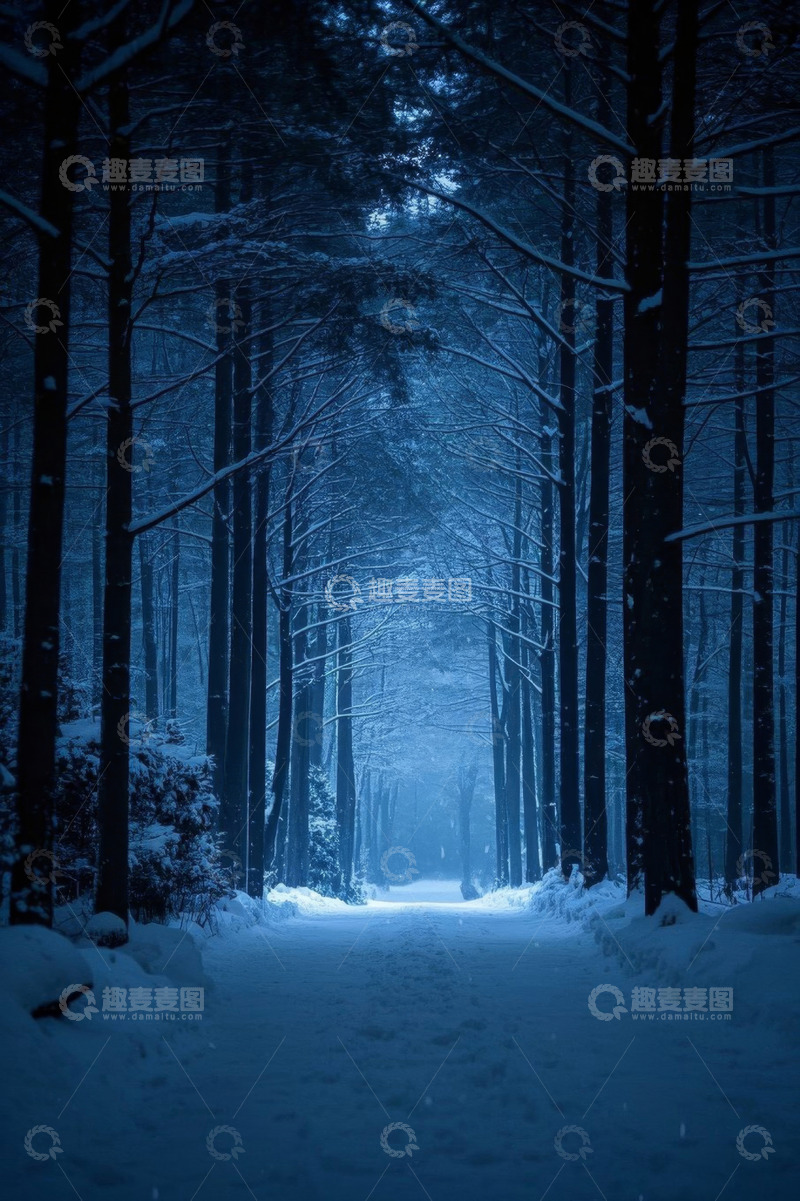 高清大图下载【趣麦麦图】雪后森林中的幽静小路