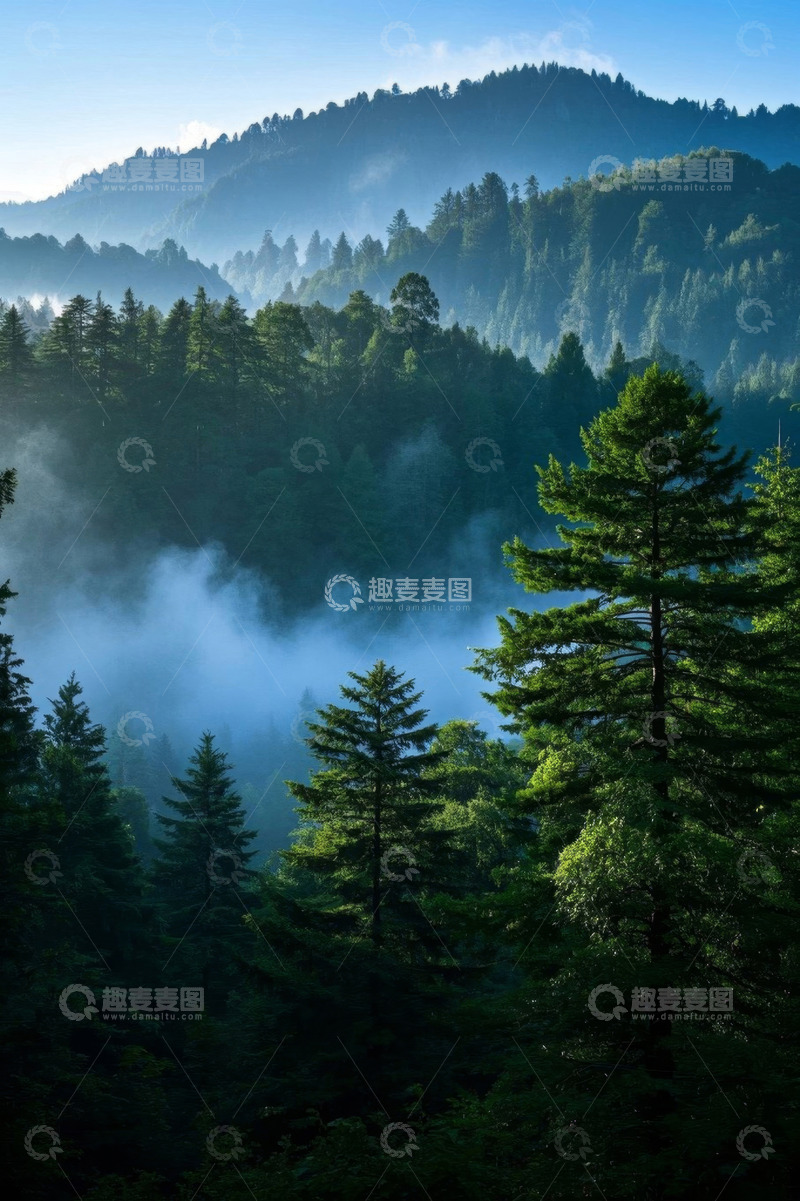 高清大图下载【趣麦麦图】山林间弥漫晨雾的自然景观