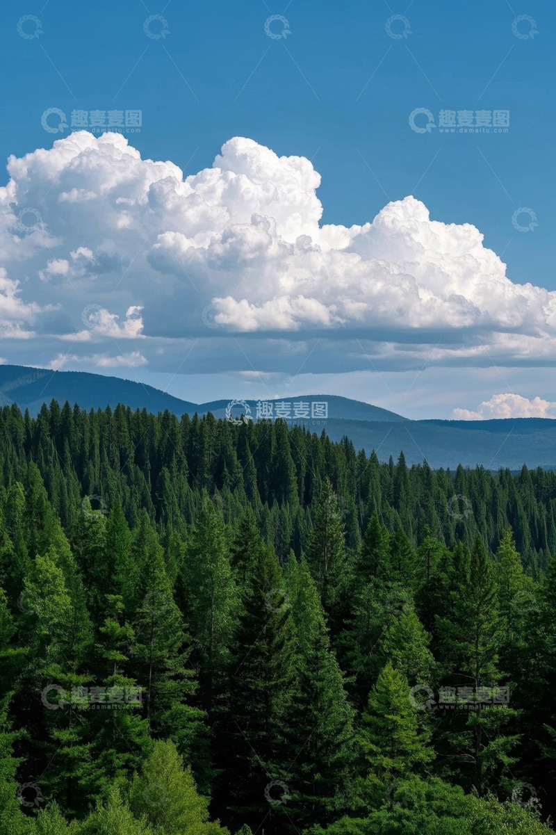 高清大图下载【趣麦麦图】蓝天白云下的森林自然景观