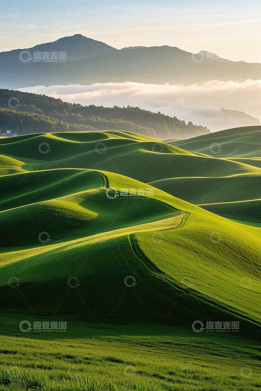 起伏绿色草地与远山风景
