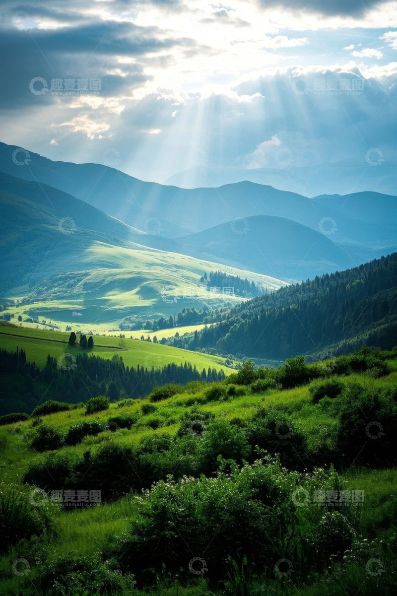 高清大图下载【趣麦麦图】山间草地森林阳光风景