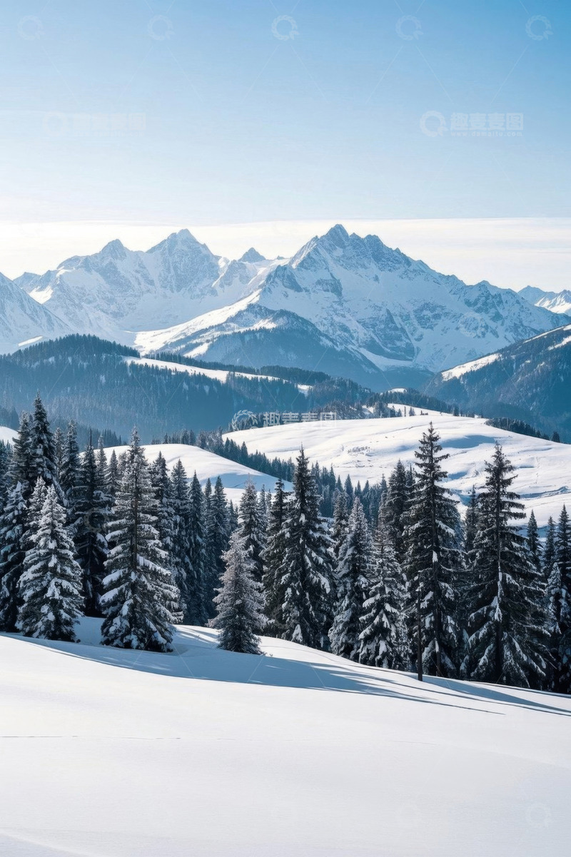 高清大图下载【趣麦麦图】雪山松林冬日自然景观