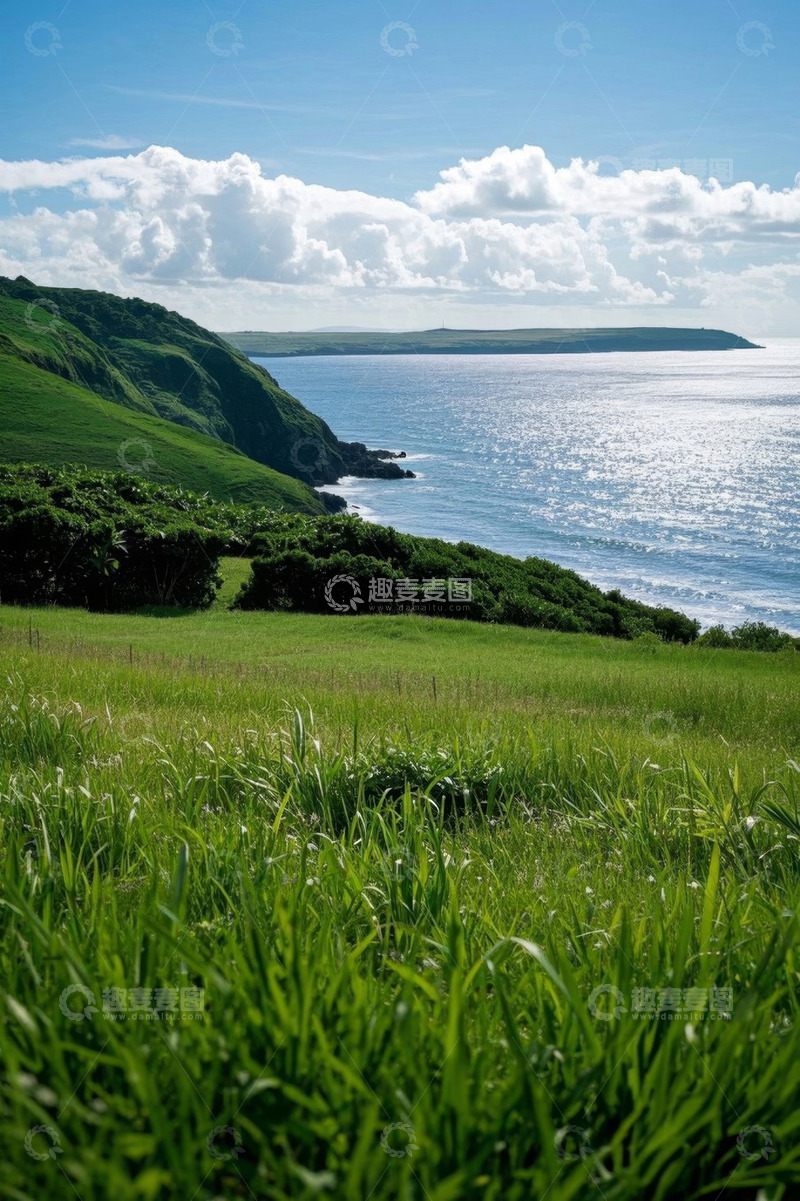 高清大图下载【趣麦麦图】海岸边绿色草地与海洋景观