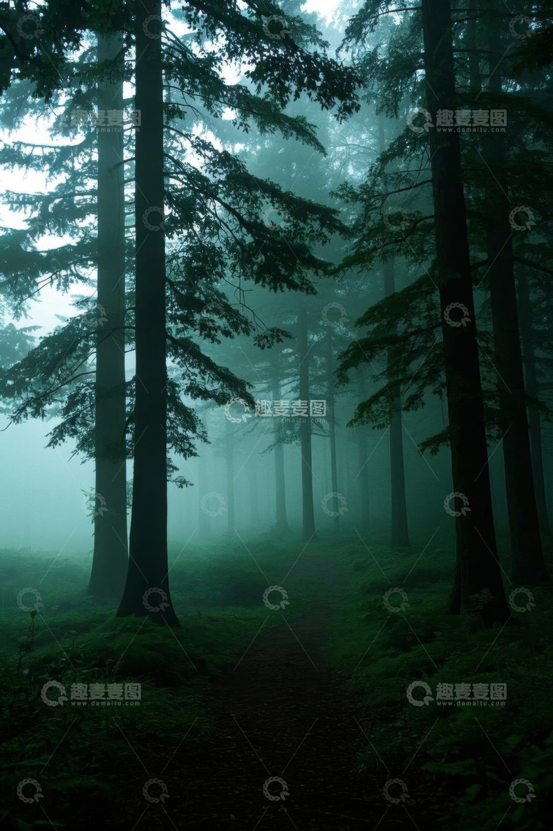 高清大图下载【趣麦麦图】迷雾中的森林路径
