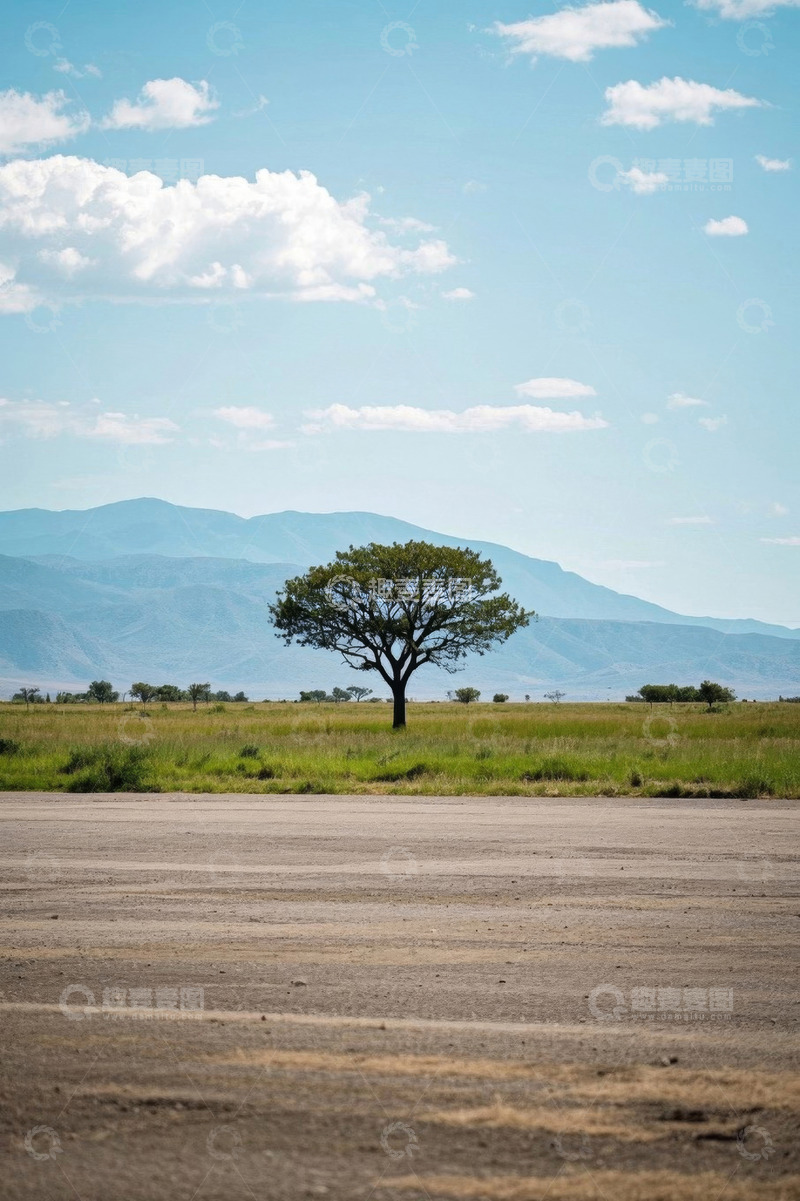 高清大图下载【趣麦麦图】非洲草原单棵树木远景