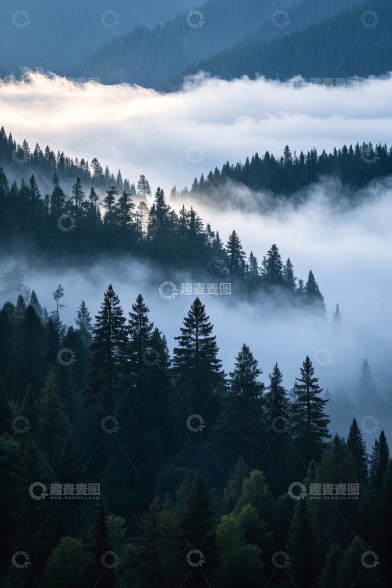 高清大图下载【趣麦麦图】云雾缭绕的森林景观