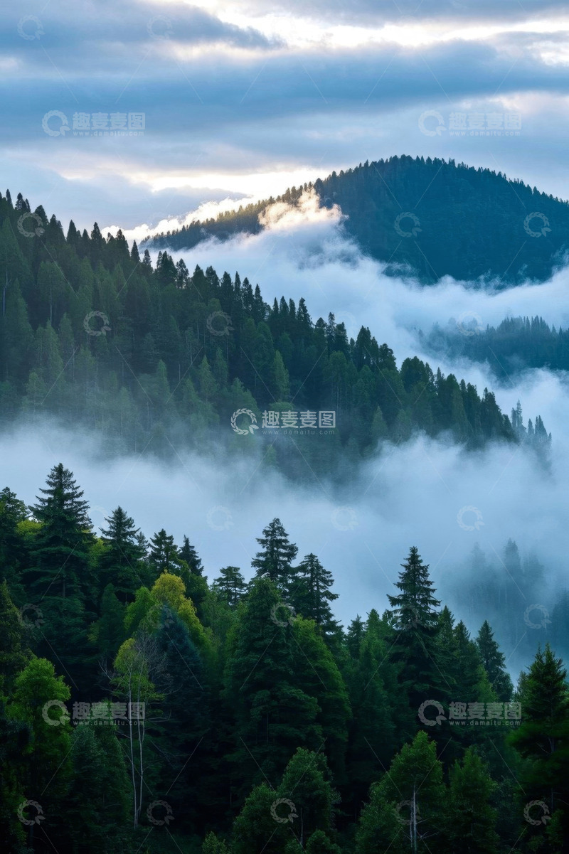 高清大图下载【趣麦麦图】山林间云雾缭绕的森林景观