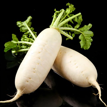 两根白萝卜摄影