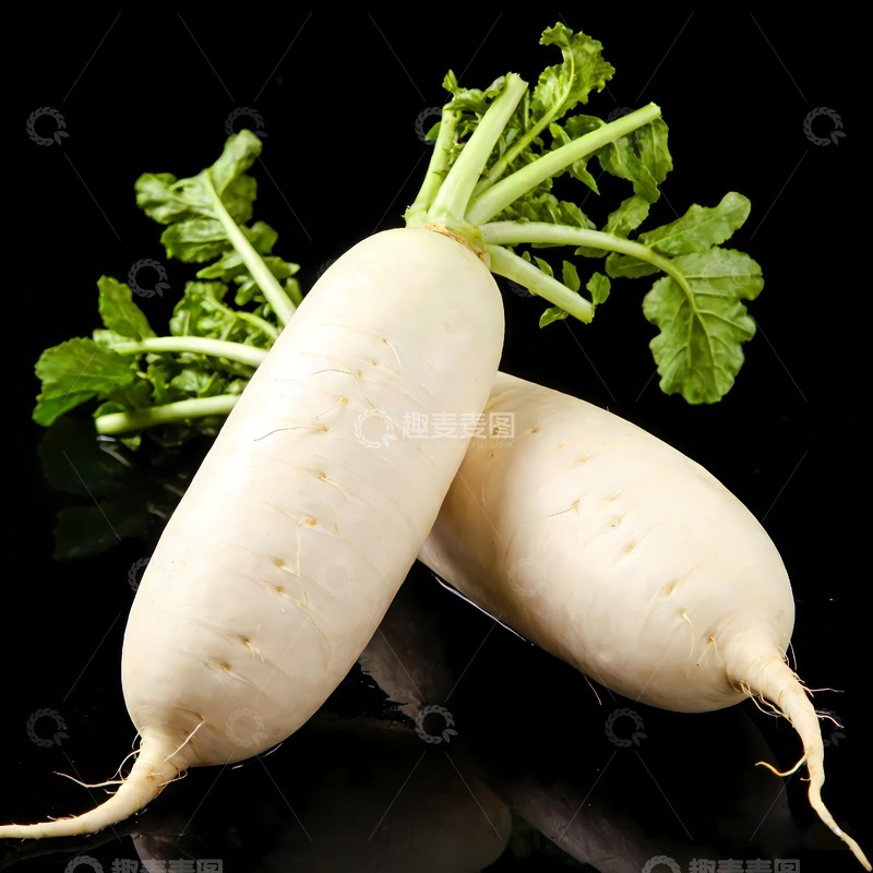 高清大图下载【趣麦麦图】两根白萝卜摄影
