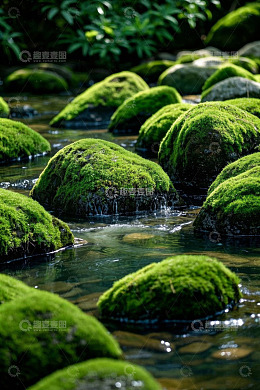 溪流中长满青苔的石头景观