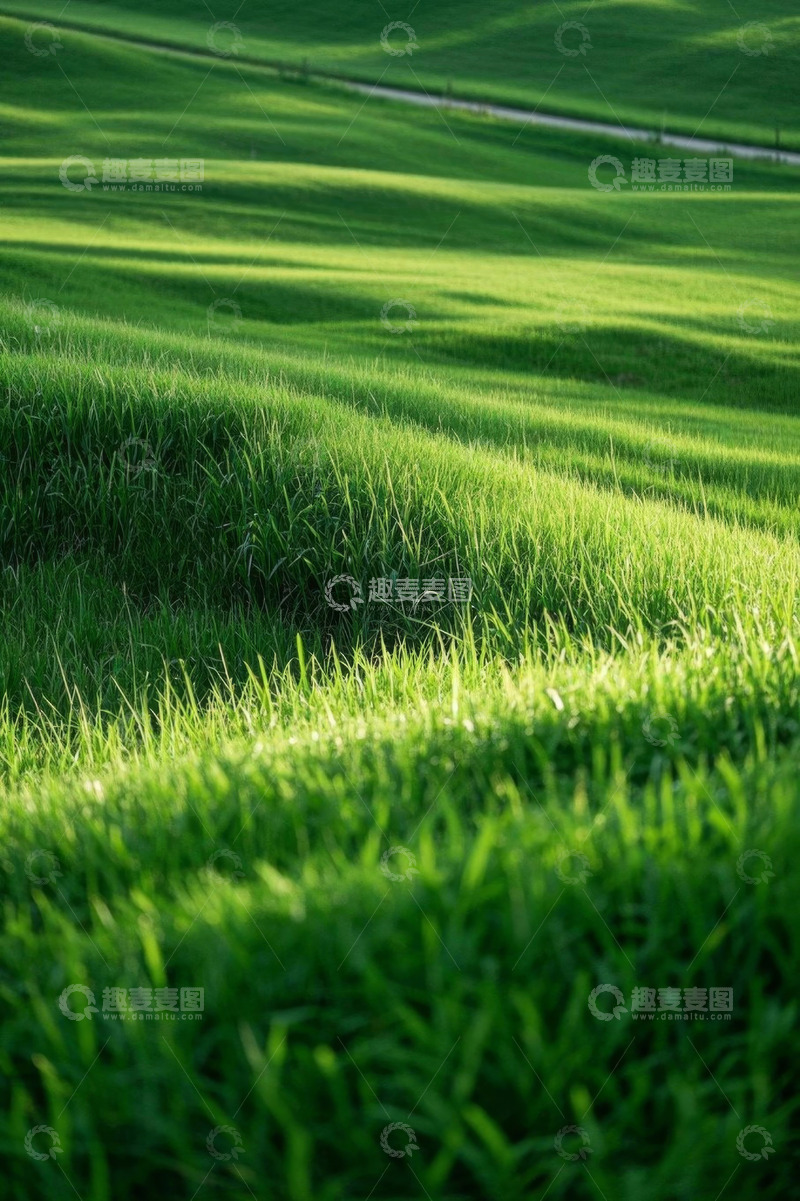 高清大图下载【趣麦麦图】户外绿色草地自然风光