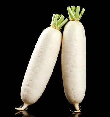 两根立起来的白萝卜