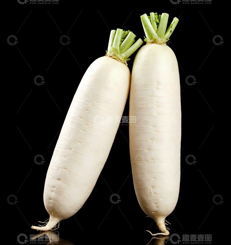 高清大图下载【趣麦麦图】两根立起来的白萝卜