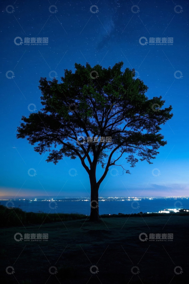 高清大图下载【趣麦麦图】夜晚星空下的孤树与远方灯火