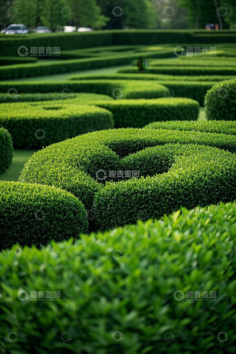 高清大图下载【趣麦麦图】公园内整齐的绿植迷宫景观