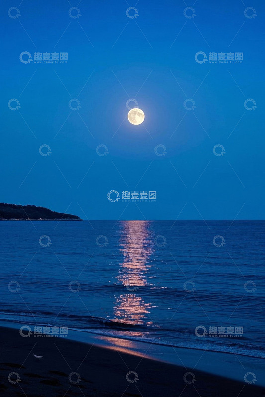 海上明月夜景风光