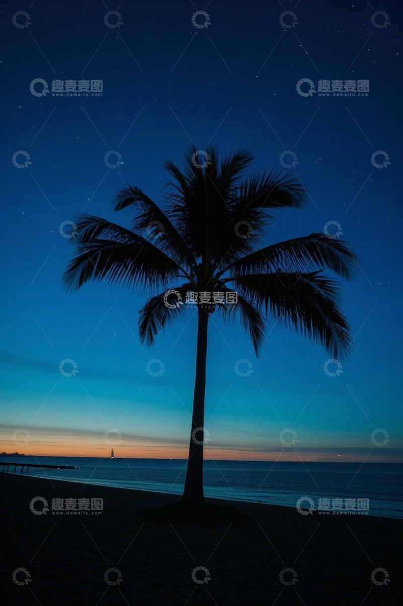 高清大图下载【趣麦麦图】海滩边夜空下的椰子树