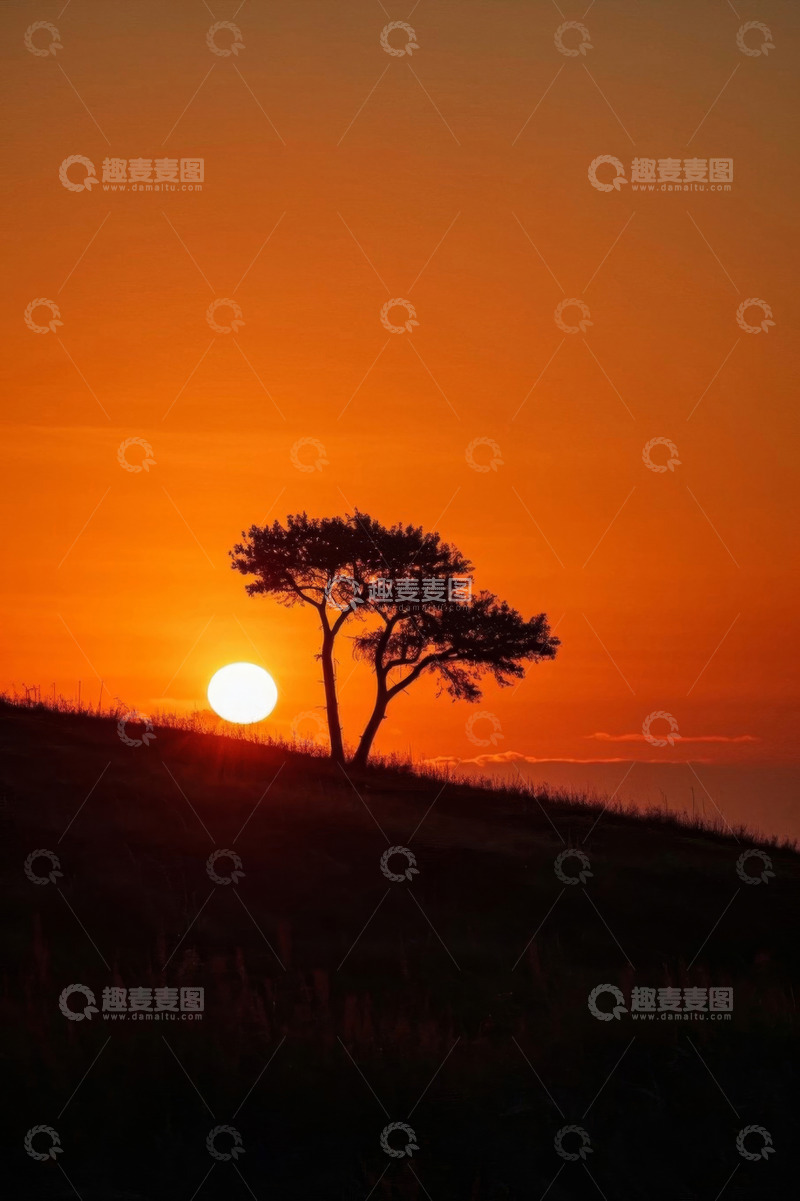 高清大图下载【趣麦麦图】夕阳下山坡上的树木剪影