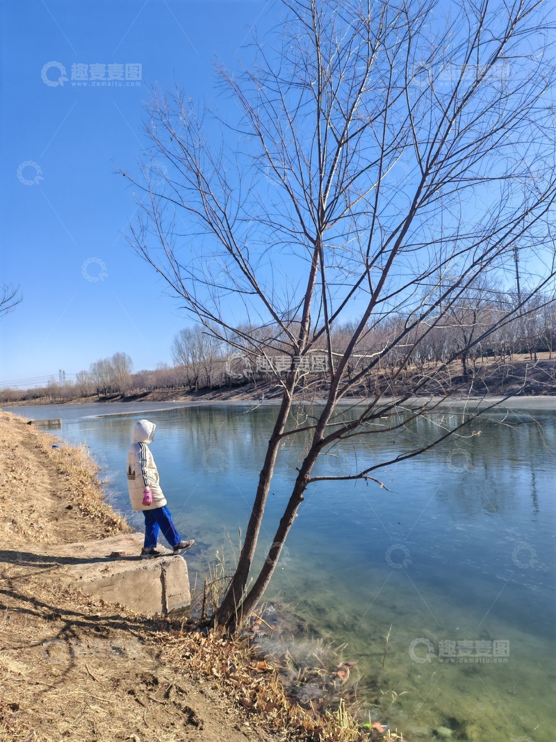 高清大图下载【趣麦麦图】冬日河畔漫步