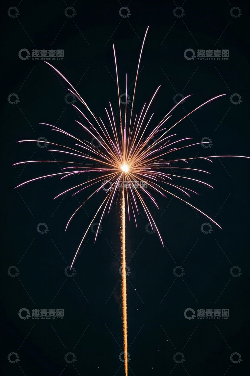 高清大图下载【趣麦麦图】夜空中绽放的绚丽烟花