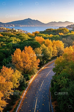 秋日公路旁多彩树林与远山海景