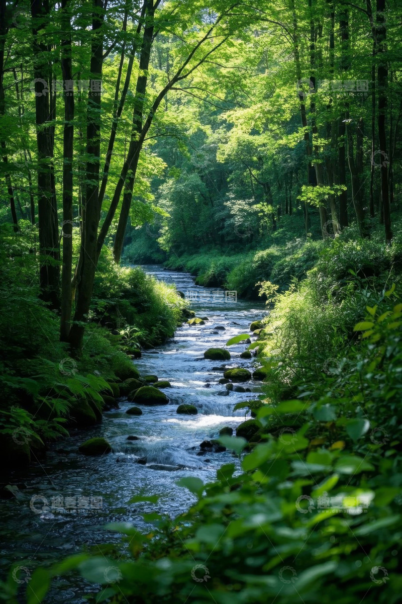 高清大图下载【趣麦麦图】森林中流淌的清澈溪流