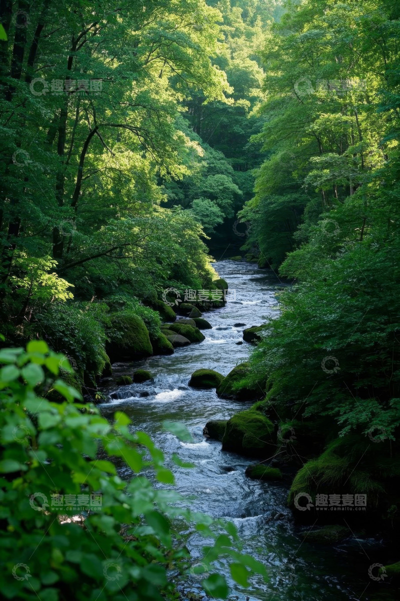 高清大图下载【趣麦麦图】森林中的河流自然景观