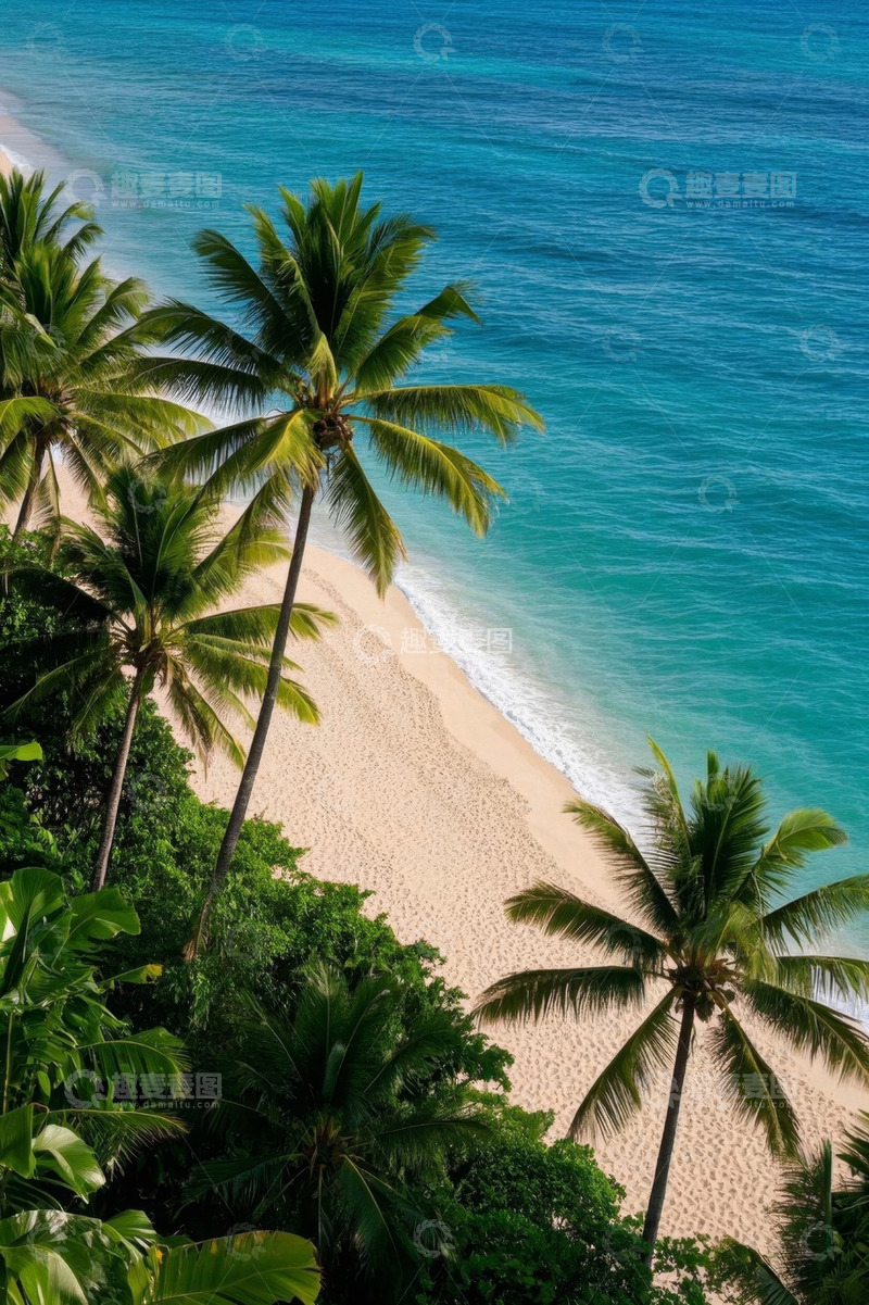 高清大图下载【趣麦麦图】热带海滩与棕榈树景观
