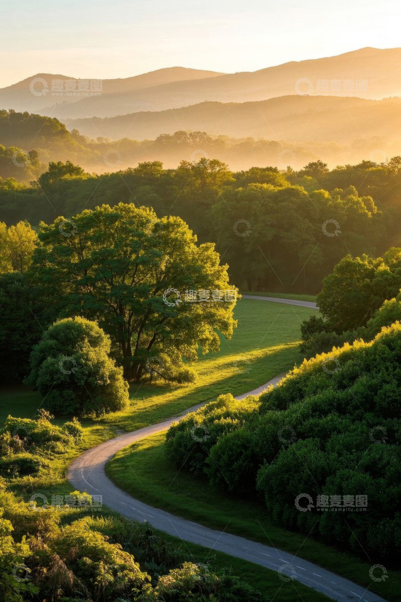 高清大图下载【趣麦麦图】森林中蜿蜒的户外道路风景