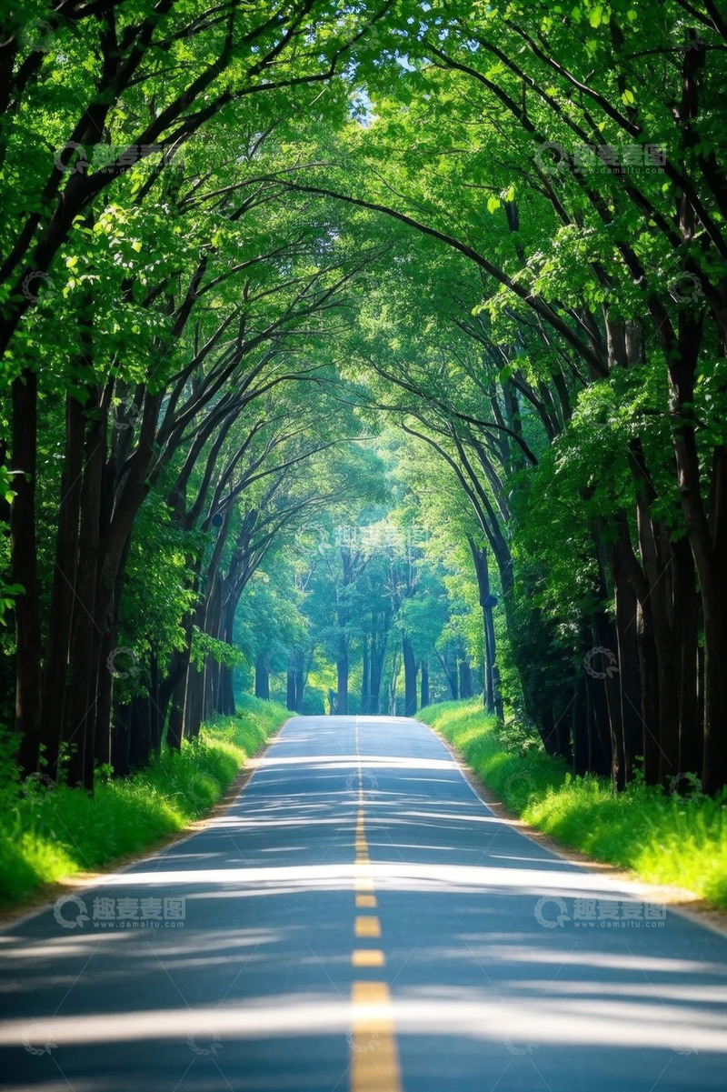 高清大图下载【趣麦麦图】林间绿荫道路自然风光