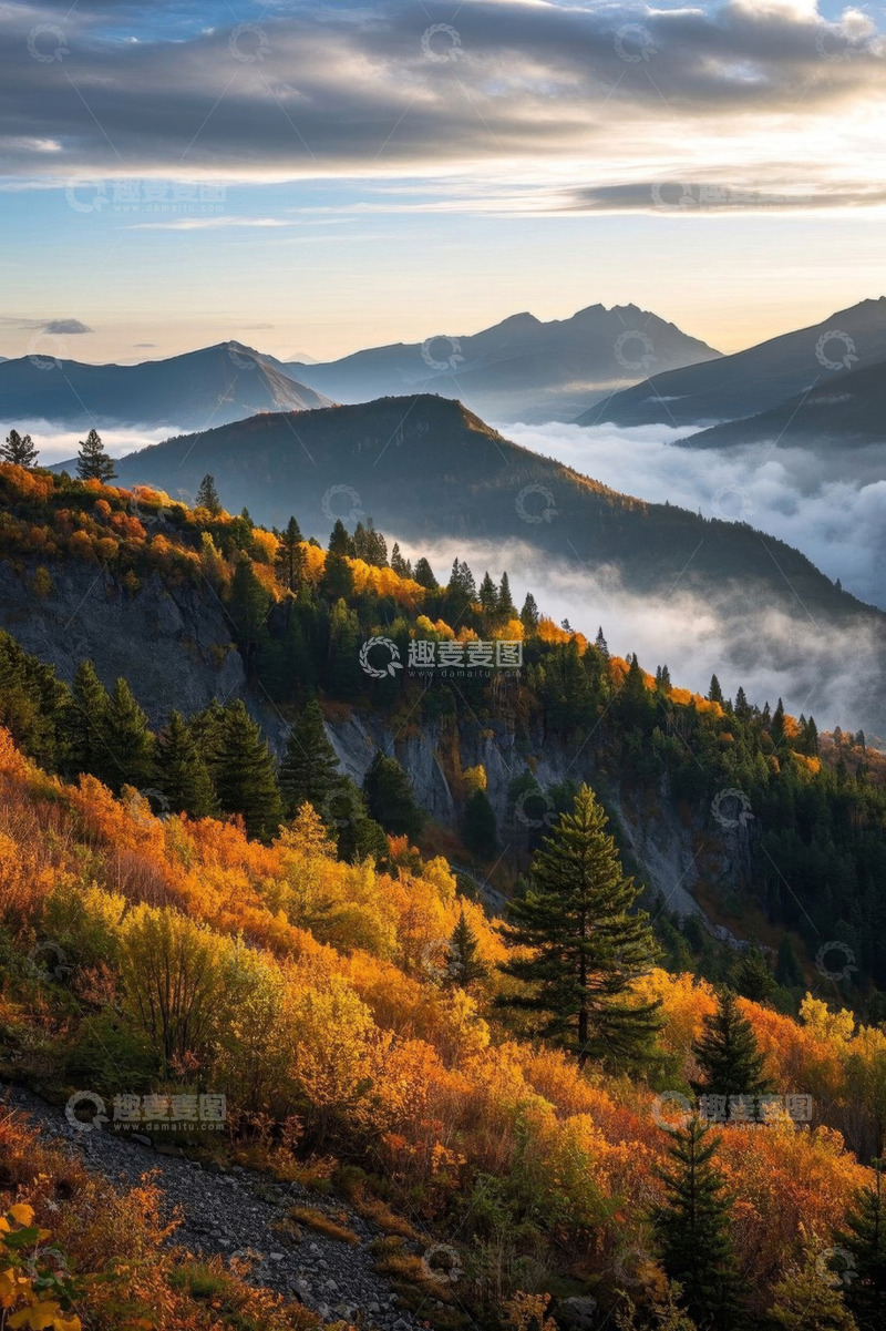 高清大图下载【趣麦麦图】秋季山间云海森林景观