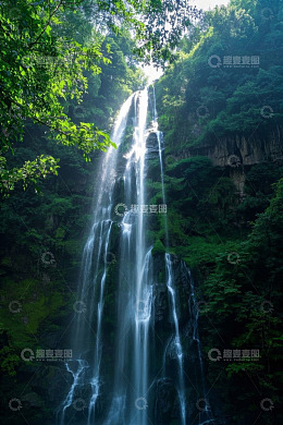 森林中的瀑布自然景观