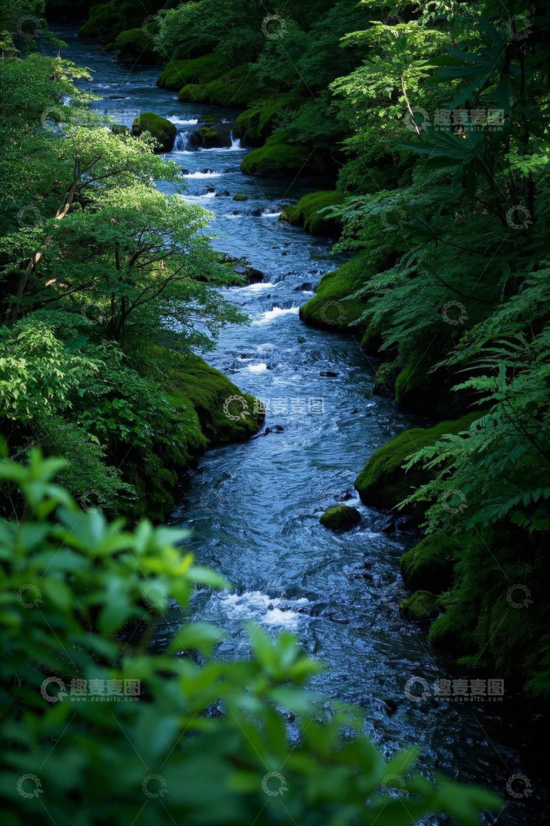 高清大图下载【趣麦麦图】森林中蜿蜒流淌的清澈溪流
