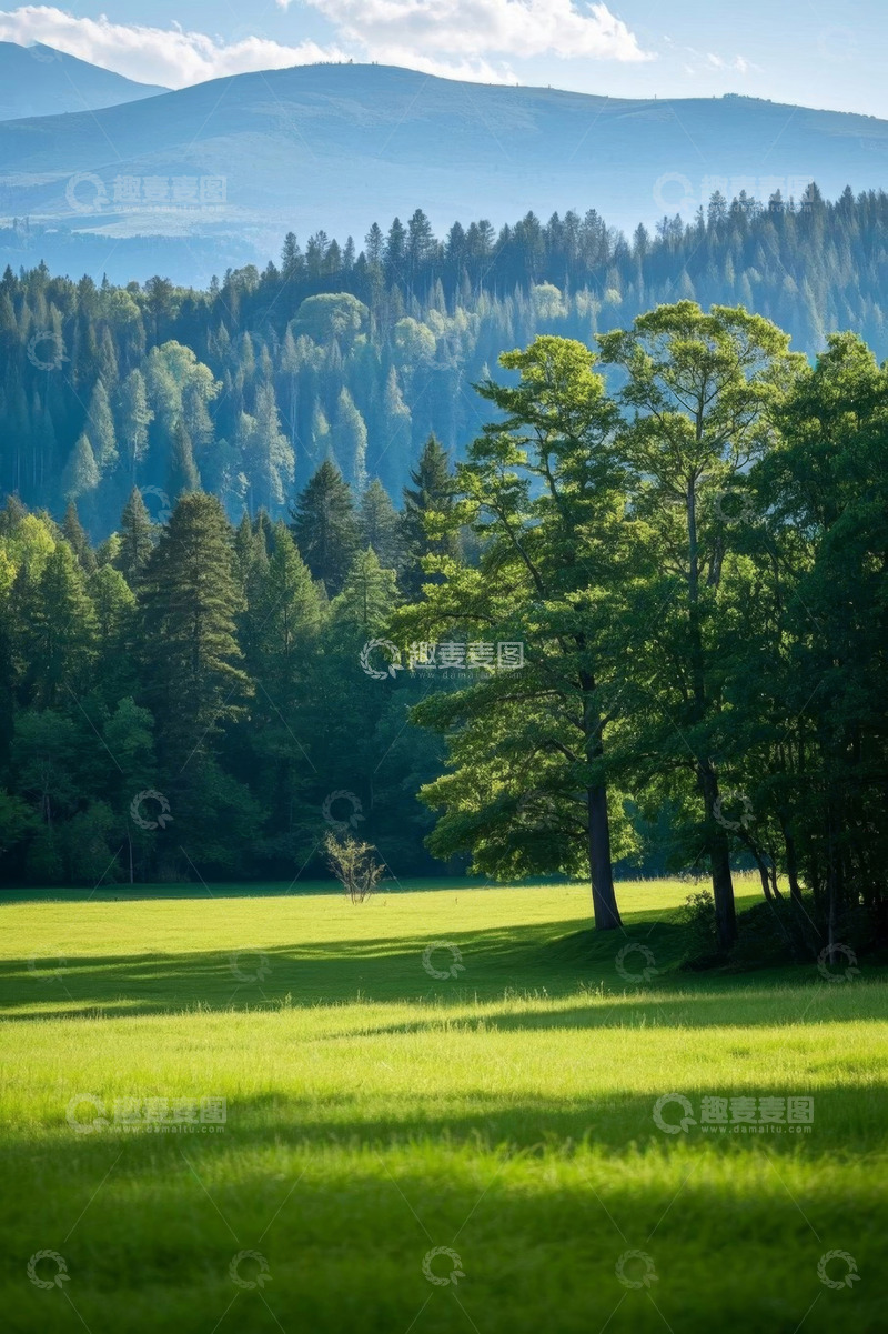 高清大图下载【趣麦麦图】山林间的绿色草地自然风光