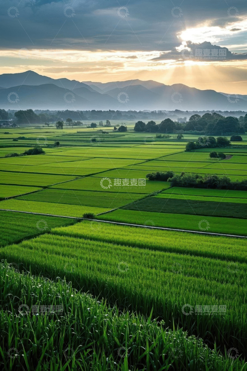 高清大图下载【趣麦麦图】田园风光稻田与远山景色