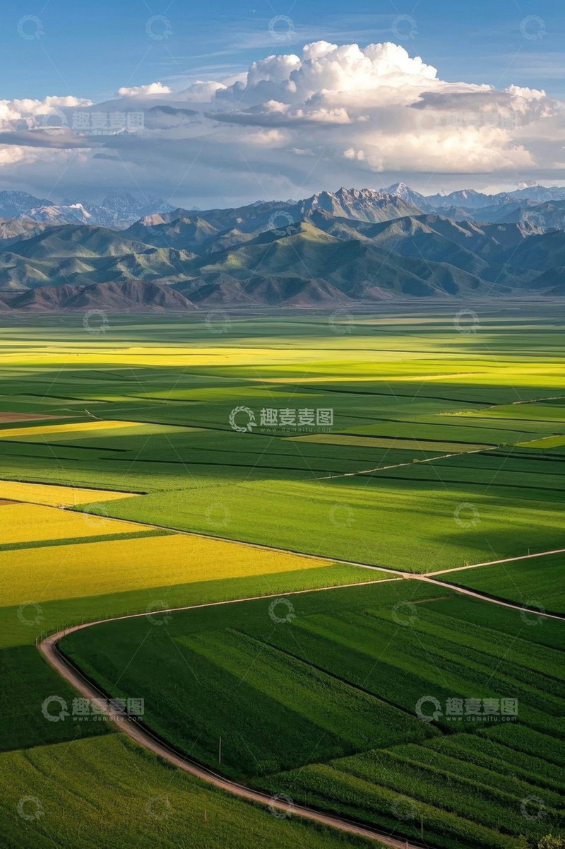 高清大图下载【趣麦麦图】航拍山脉下的油菜农田风光